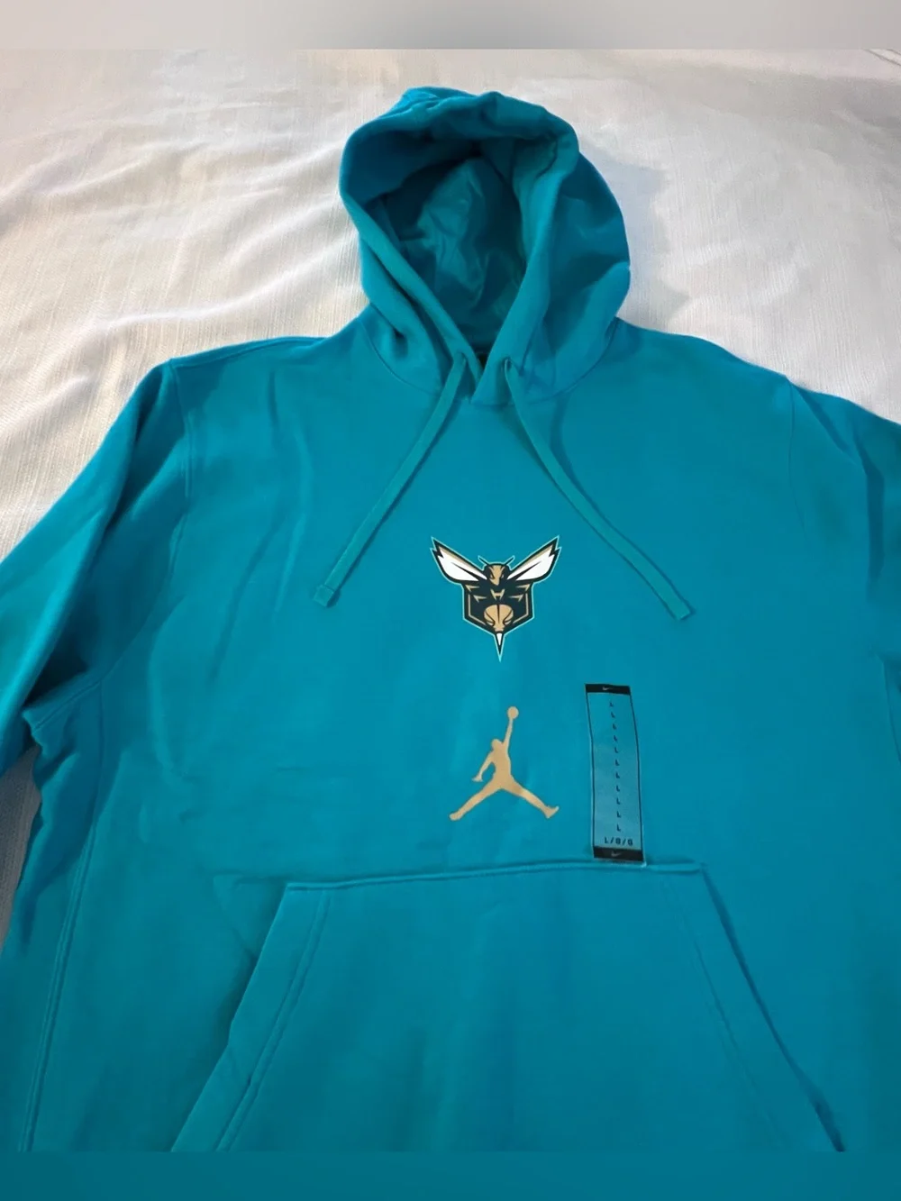 Jordan Men's 2023-24 City Edition Charlotte Hornets Club Pullover Hoodie Large